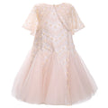 Beaded Cape Godet Mesh Dress
