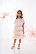 Pink Sequin Ruffle Pleat Dress