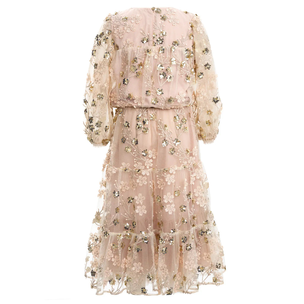 Gold Embroidered Sequin Mesh Maxi Co-ord