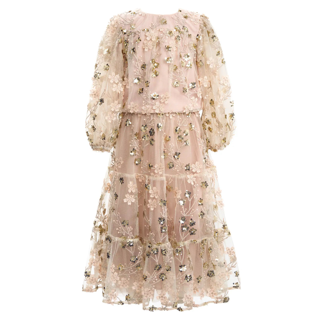 Gold Embroidered Sequin Mesh Maxi Co-ord