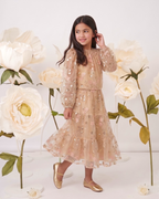 Gold Embroidered Sequin Mesh Maxi Co ord