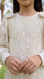 Metallic Embroidered Maxi Dress