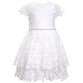 Scallop Lace Diamante Dress