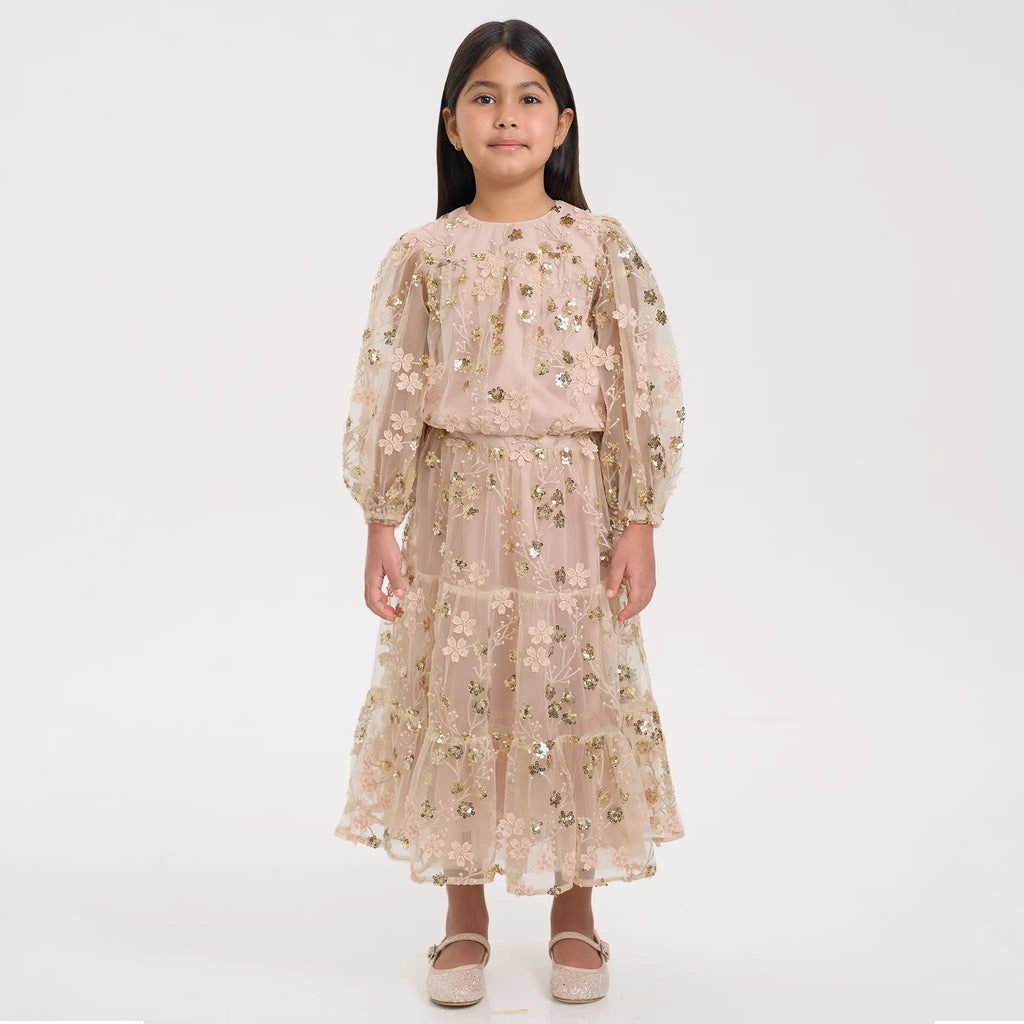 Gold Embroidered Sequin Mesh Maxi Co-ord