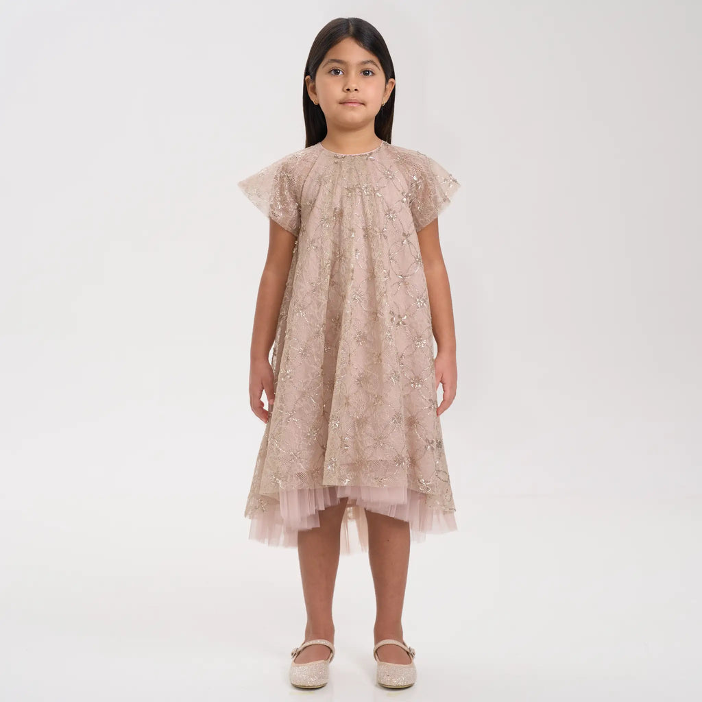 Gold Sequin Lace Mesh Volume Dress