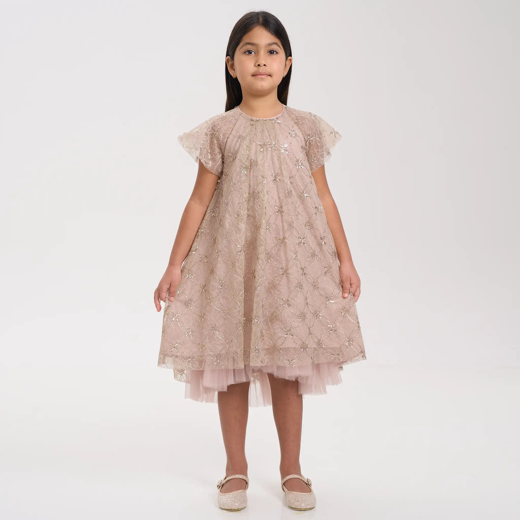 Gold Sequin Lace Mesh Volume Dress
